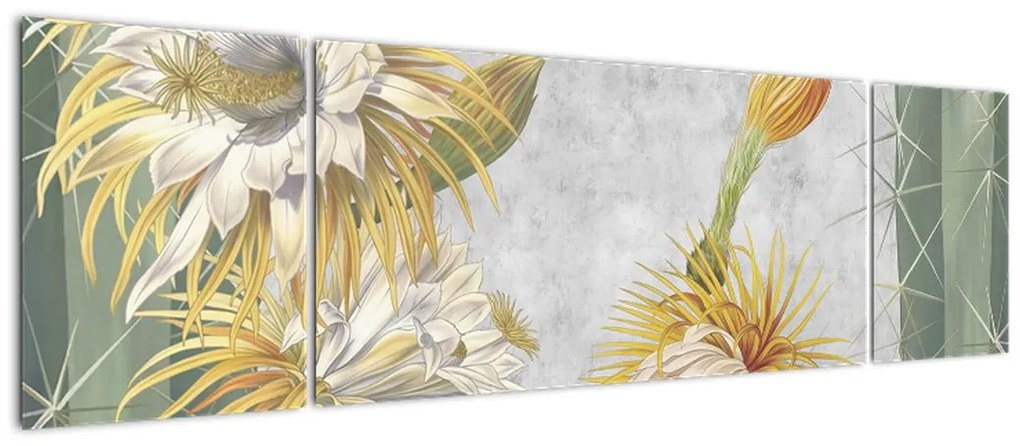 Obraz - Kwitnące kaktusy (170x50 cm)