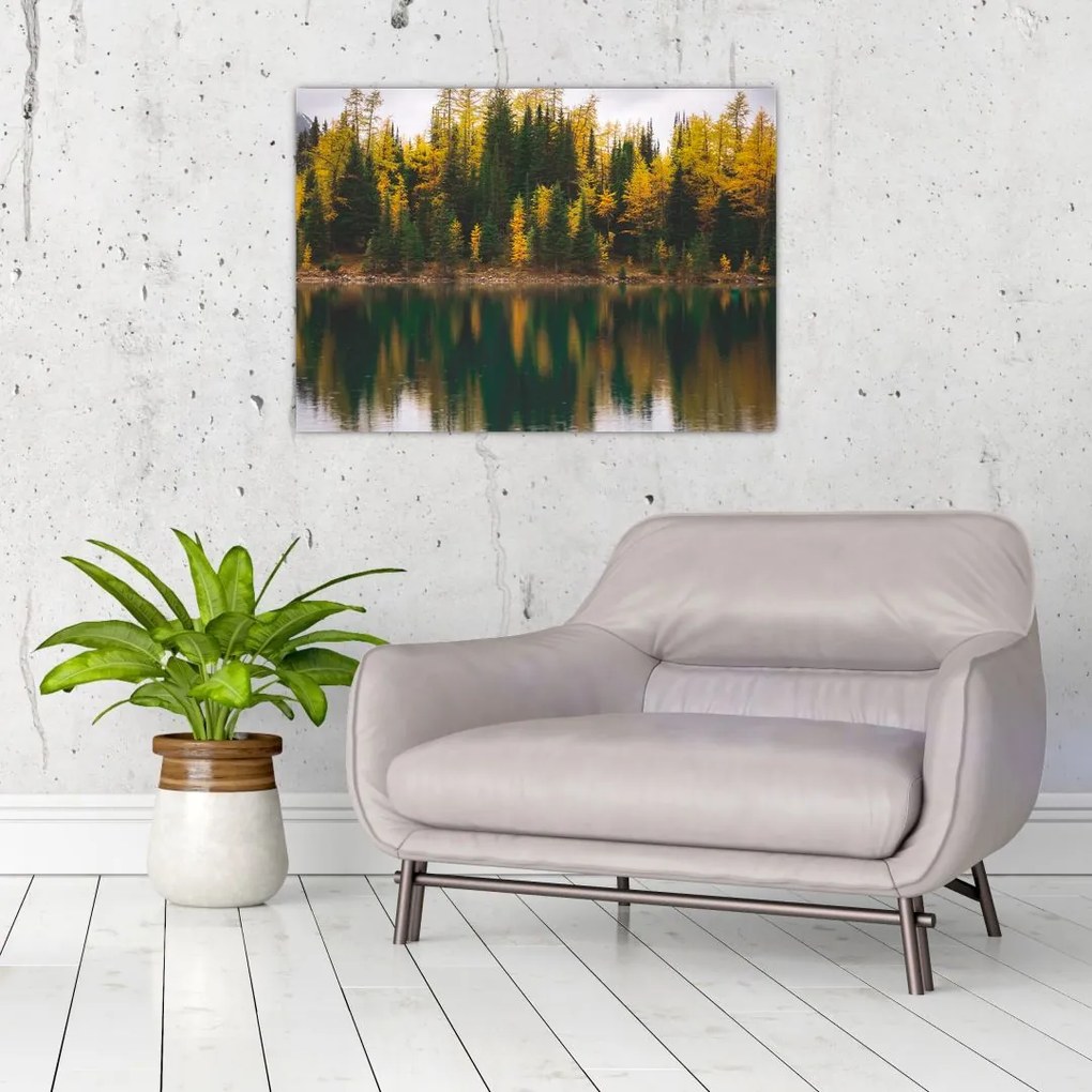 Obraz na szkle - leśne jezioro (70x50 cm)