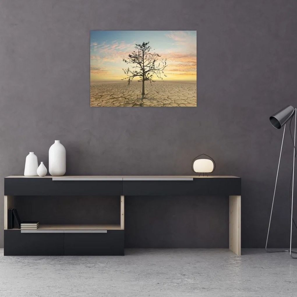 Obraz na szkle - Drzewo na pustyni (70x50 cm)