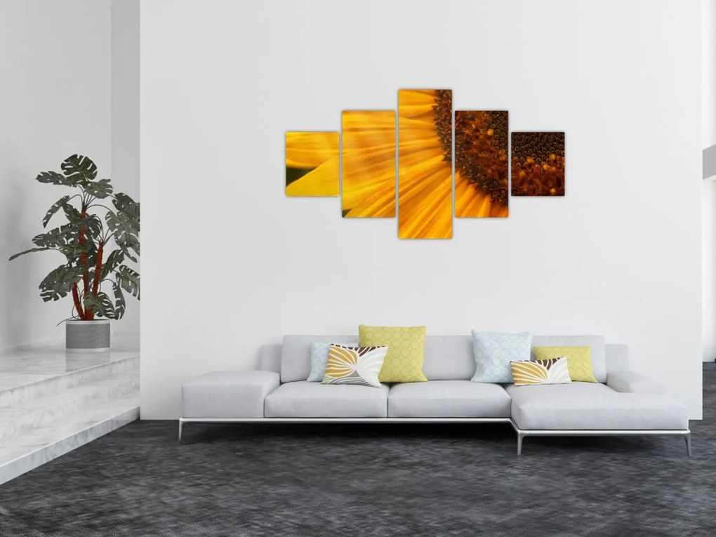 Obraz - Słoneczniki (125x70 cm)