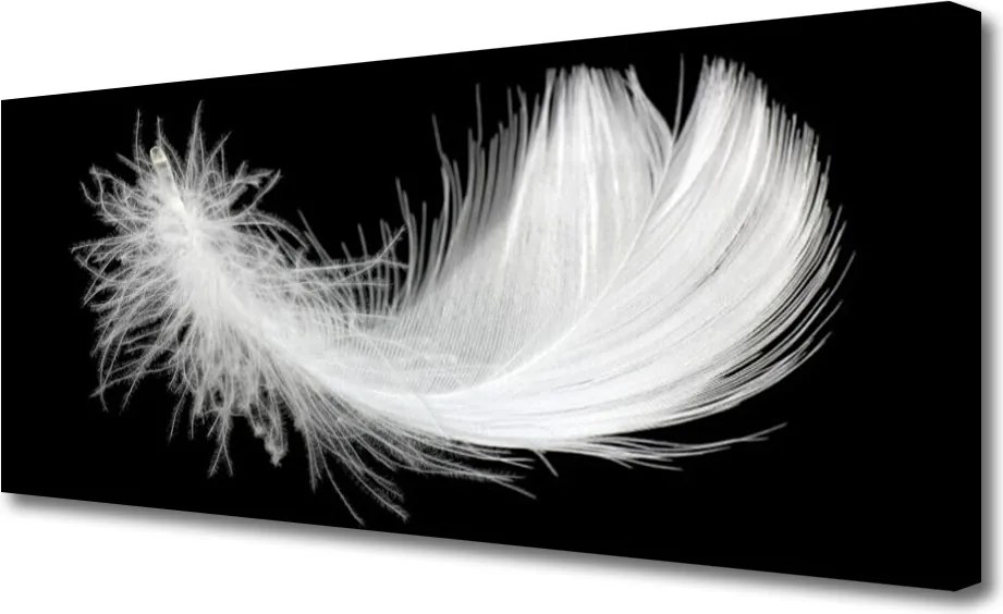 Obraz na płótnie Lekkość Białego Piórka