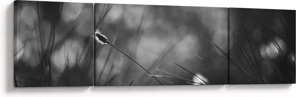 Obraz - Trawa łąkowa (170x50 cm)