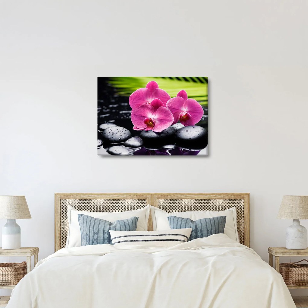 Obraz - Różowe orchidee z liściem palmy (70x50 cm)