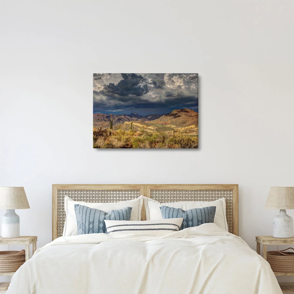 Obraz - kaktusy w przyrodzie (70x50 cm)