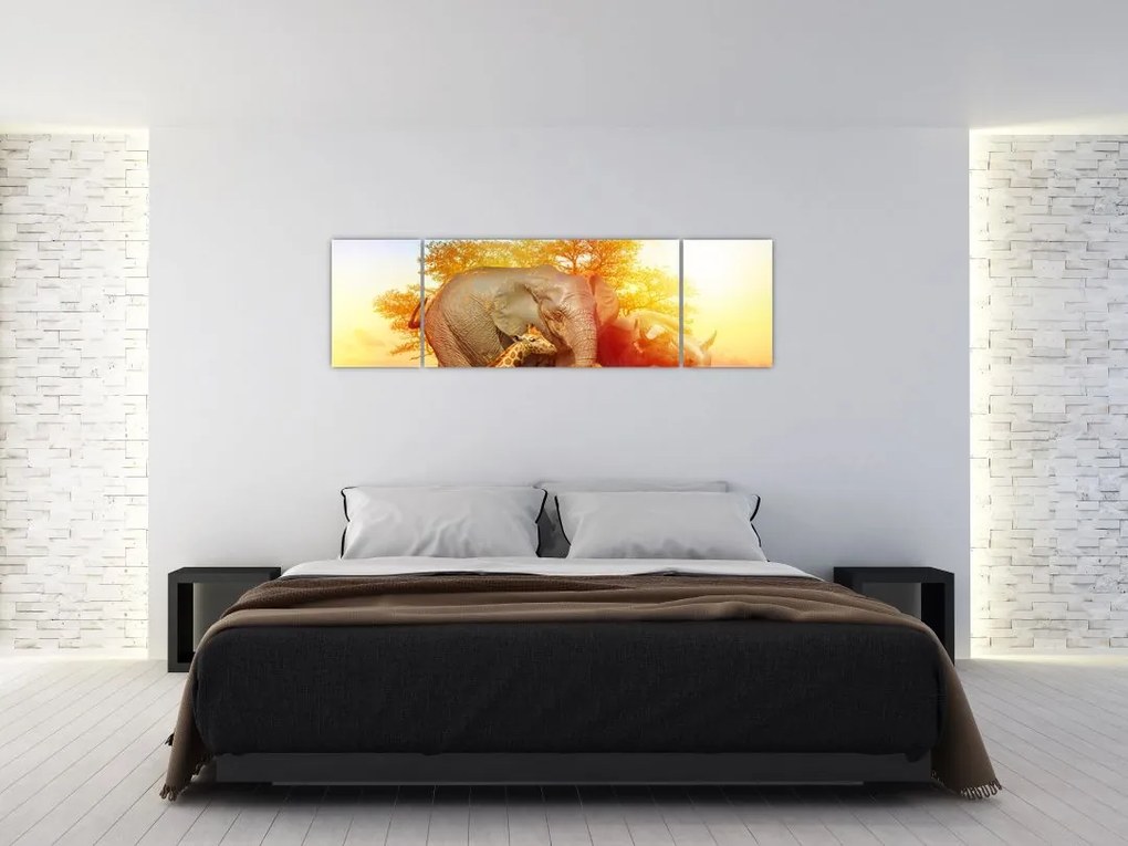 Obraz zwierząt afrykańskich (170x50 cm)