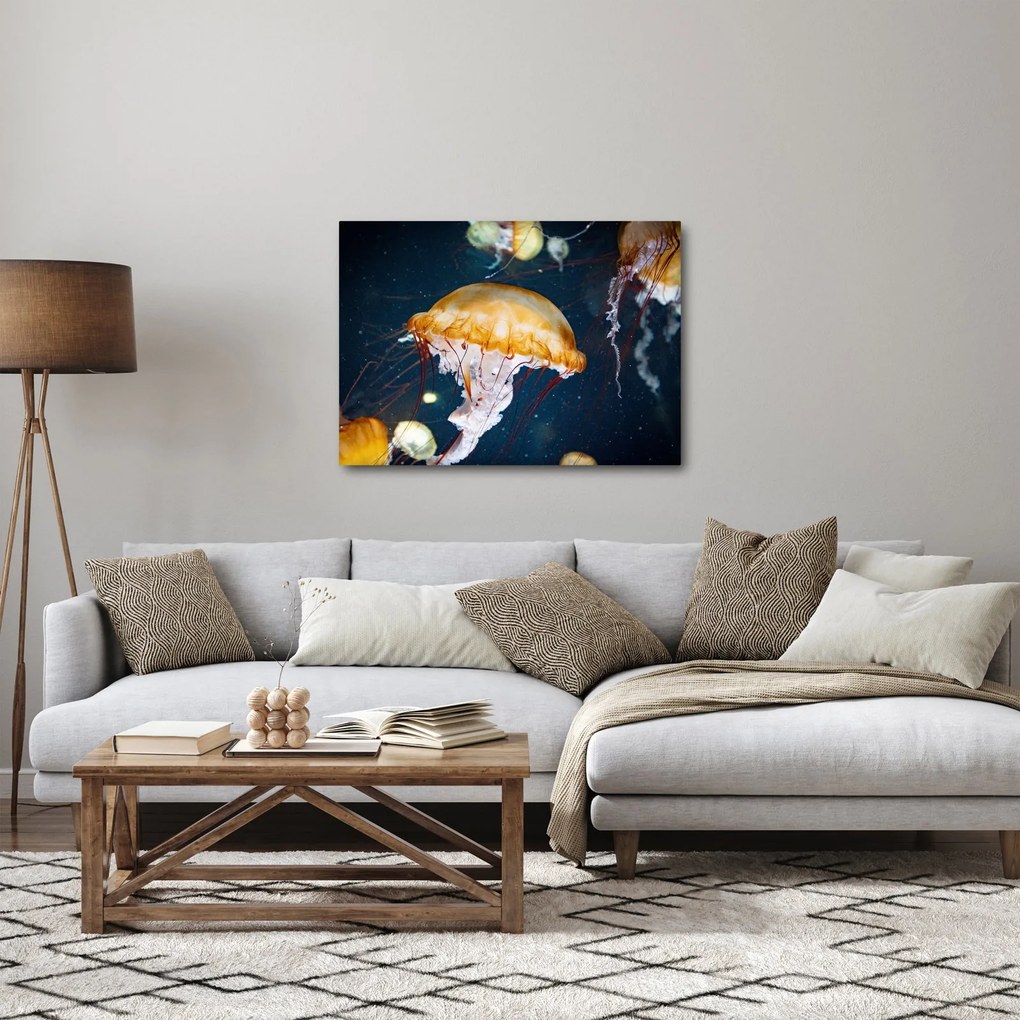 Obraz meduzy (70x50 cm)