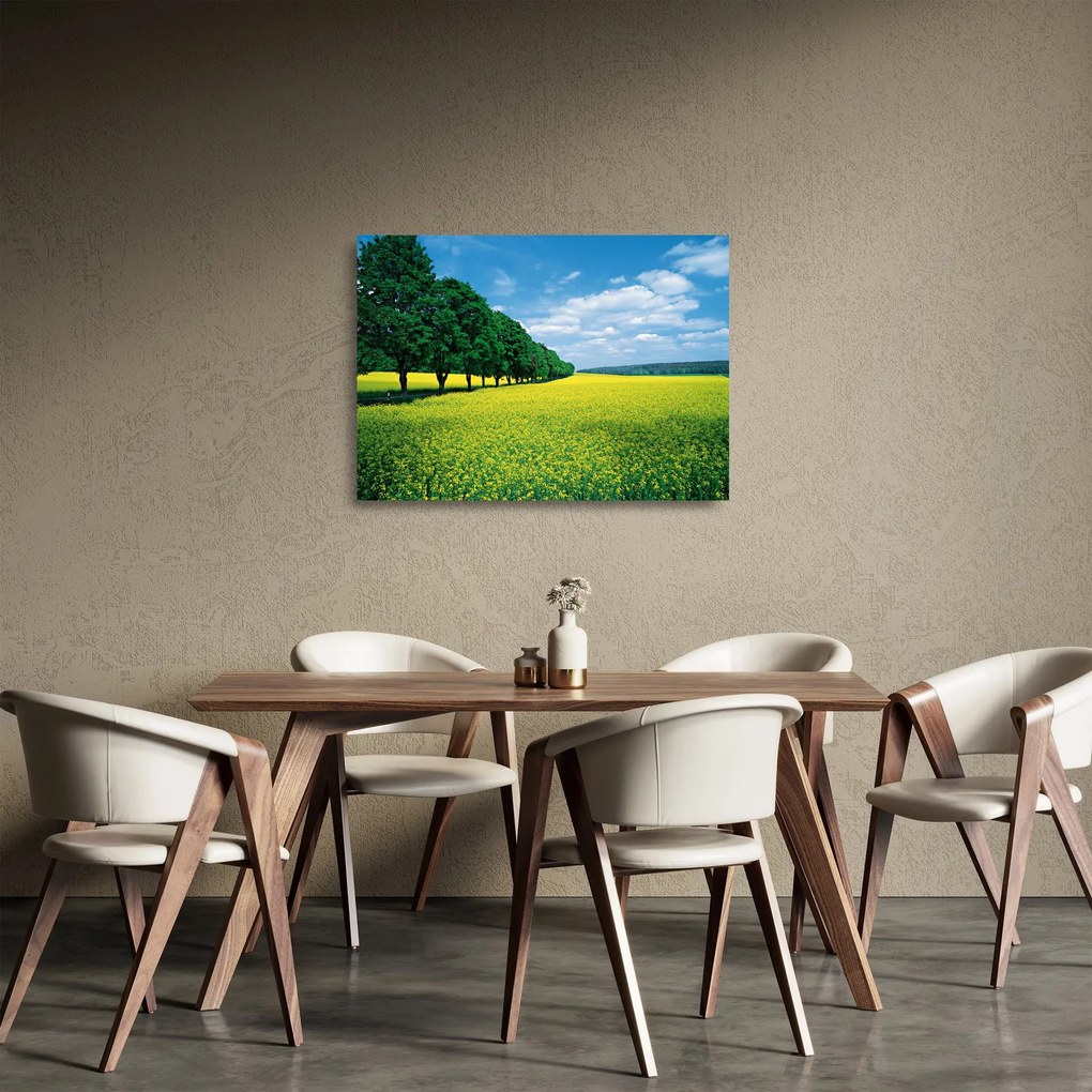 Obraz na szkle pola z aleją (70x50 cm)