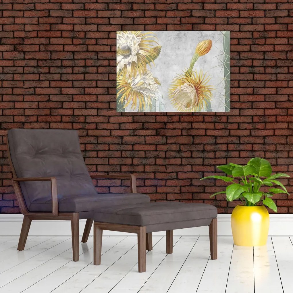Obraz - Kwitnące kaktusy (70x50 cm)