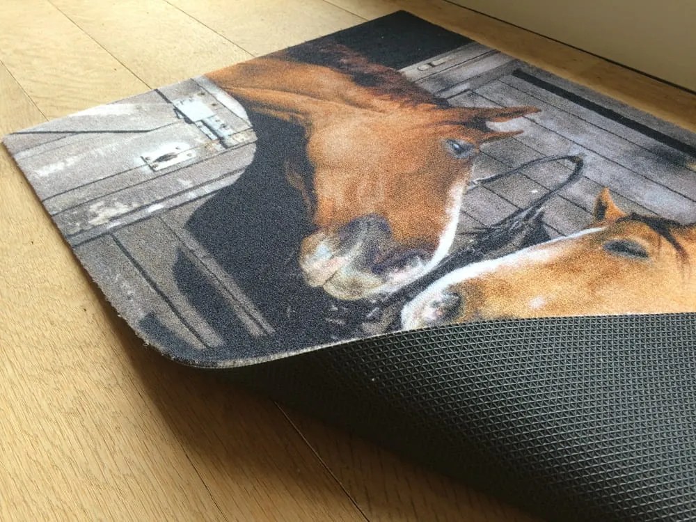 Wycieraczka Deco Star Koniki 50 cm x 80 cm