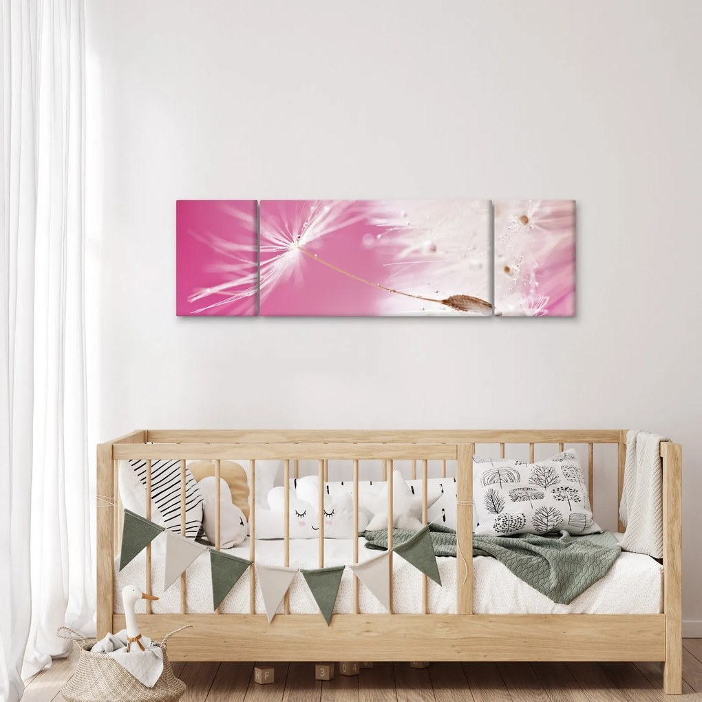 Obraz - Makro kwiat (170x50 cm)