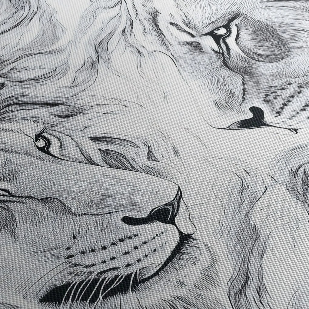 Obraz - Rysowane lwie głowy (170x50 cm)