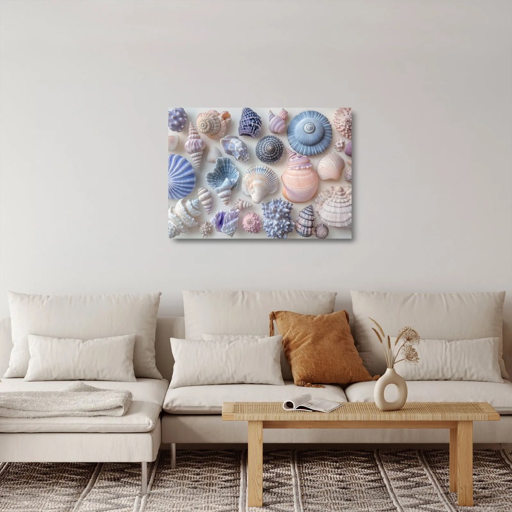 Obraz na szkle - Kolekcja muszli (70x50 cm)