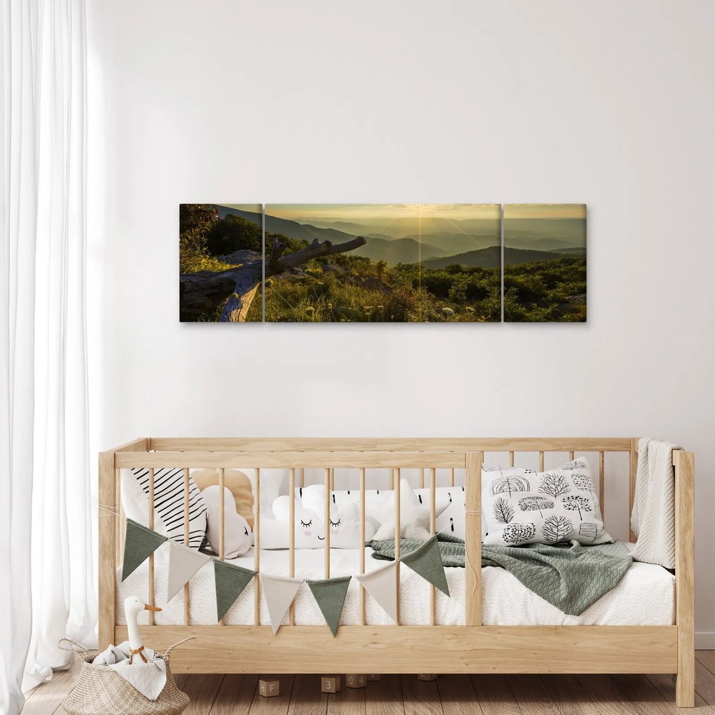 Obraz - Widok na otoczenie (170x50 cm)