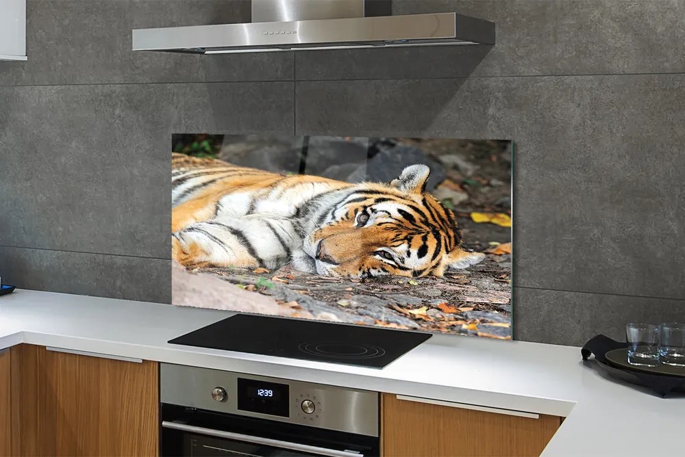 Szklany Panel Odpoczywający Tygrys