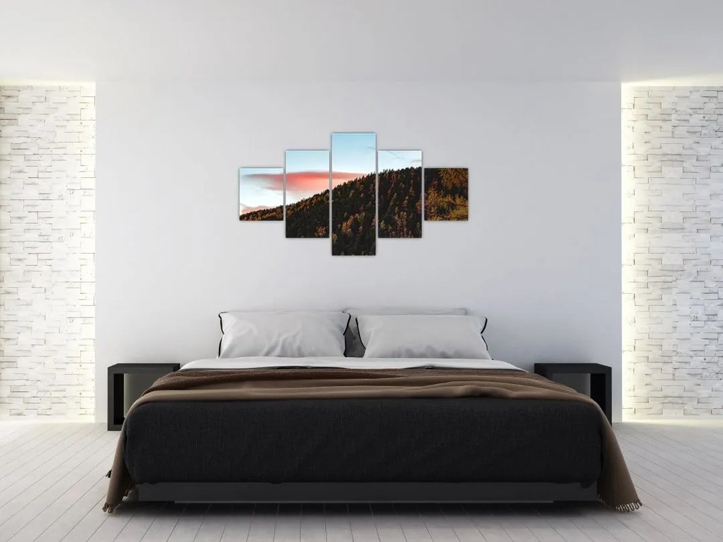 Obraz rudzików nad wzgórzem (125x70 cm)