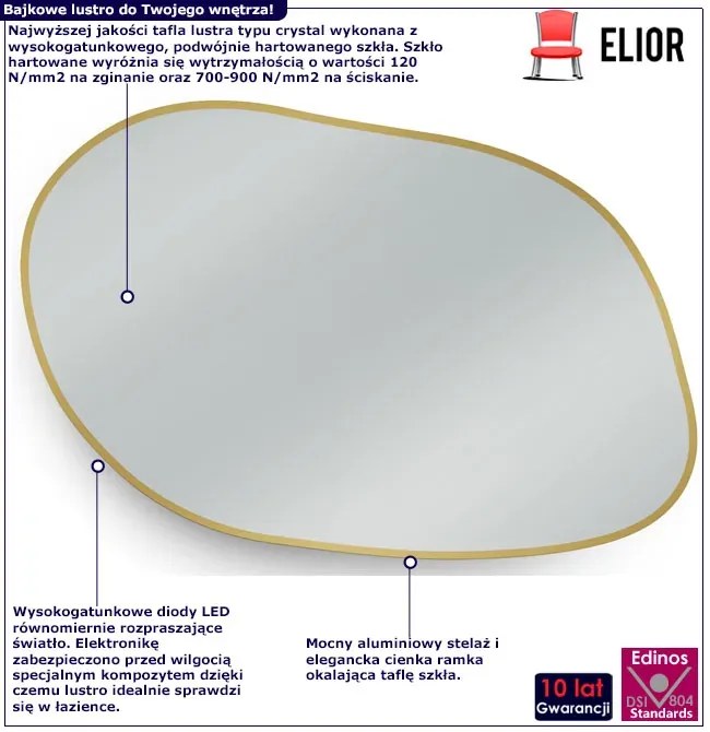 Designerskie lustro LED 80x57 cm G1-R09