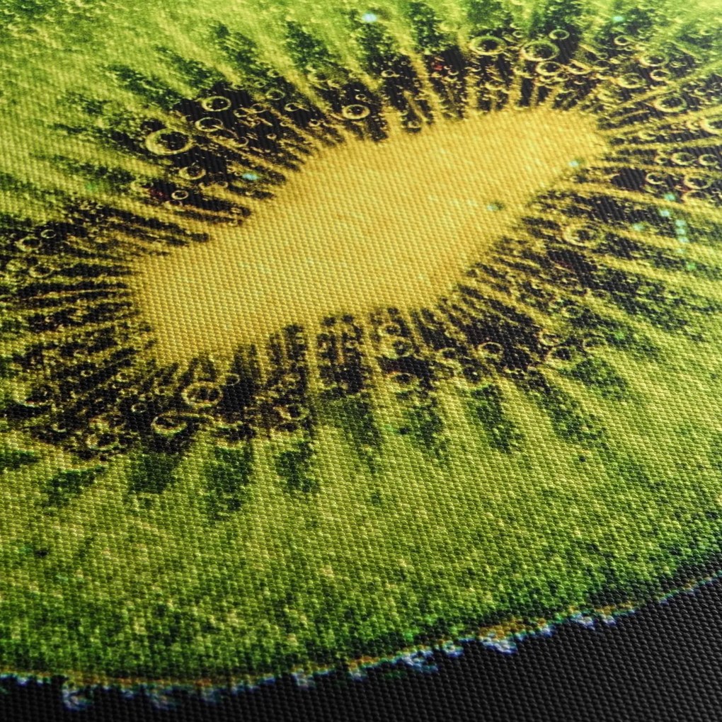 Obraz - szczegół kiwi w wodzie (z zegarem) (90x30 cm)