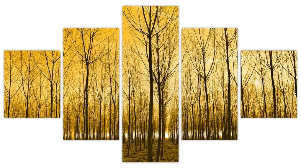 Obraz lasu o zachodzie słońca (125x70 cm)