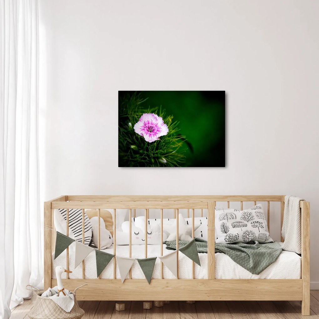 Obraz kwiatu róży (70x50 cm)
