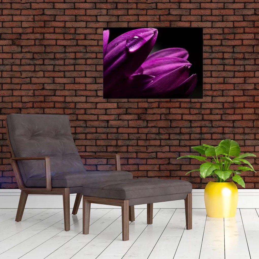 Obraz  - Kropla wody (70x50 cm)