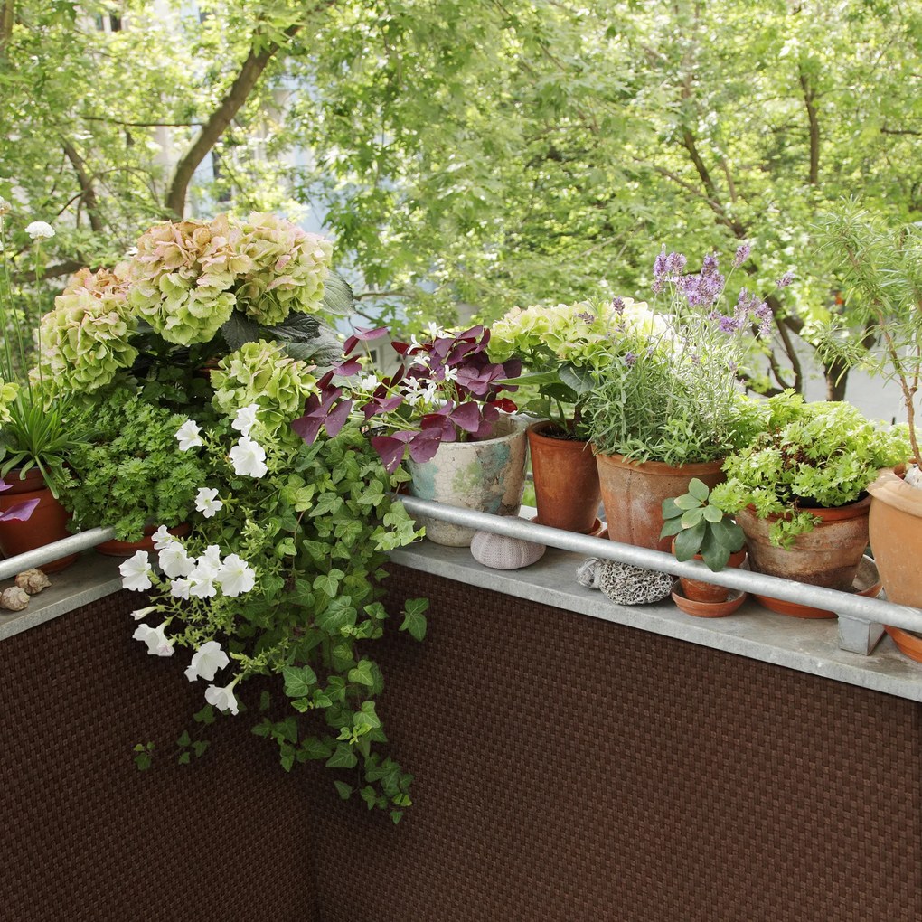 Osłona balkonowa Tress 0,9 x 3 m brązowa PATIO