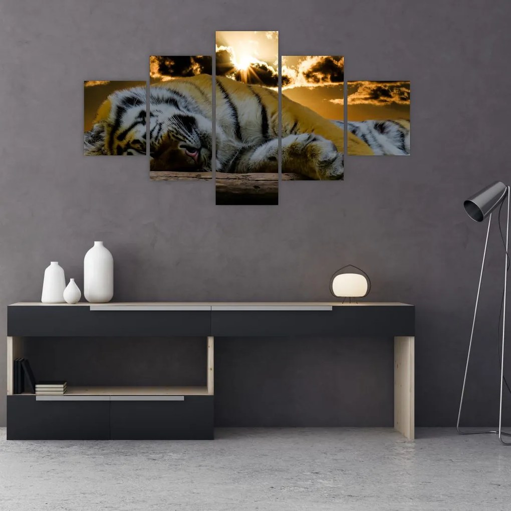 Obraz śpiącego tygrysa (125x70 cm)