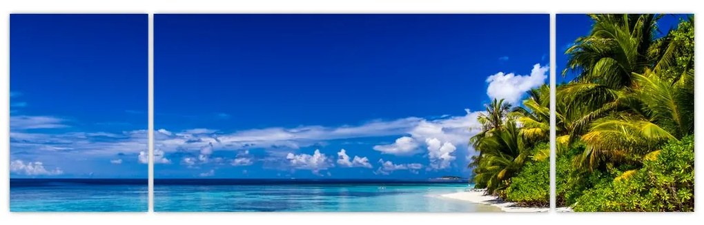 Obraz tropikalnej plaży (170x50 cm)