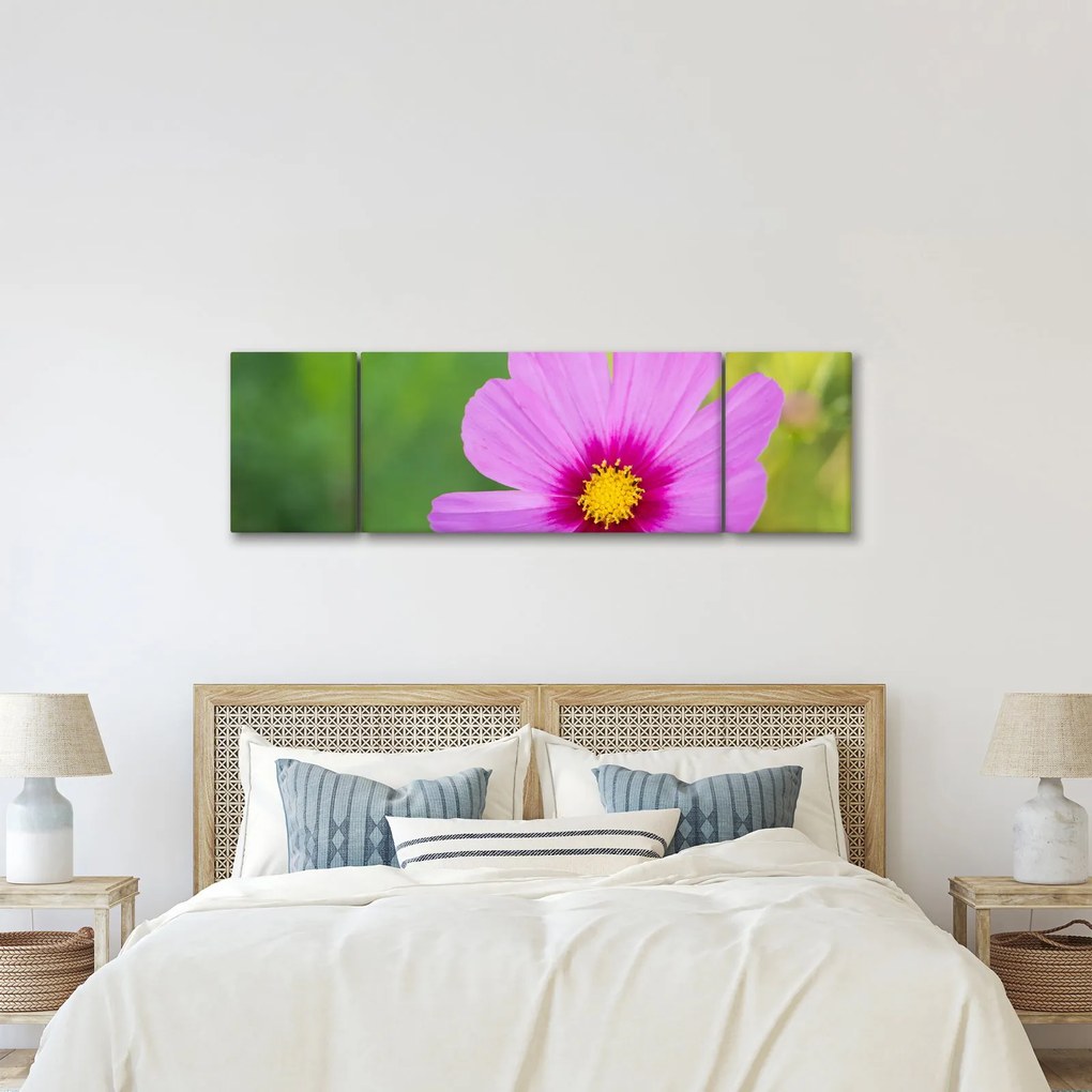 Obraz - polny kwiat (170x50 cm)