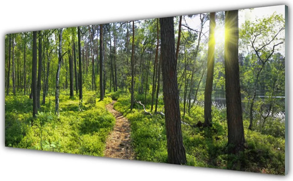 Panel Szklany Droga przez Dziki Las