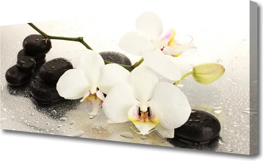 Obraz canvas na ścianę Egzotyczny Biały Storczyk