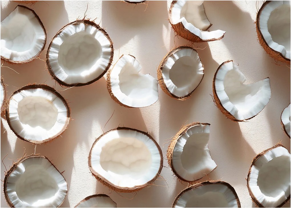 Obraz - Kokosy (70x50 cm)