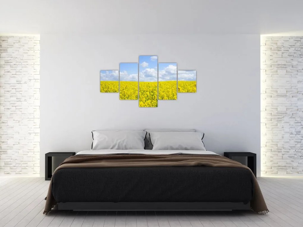 Obraz żółtego pola (125x70 cm)