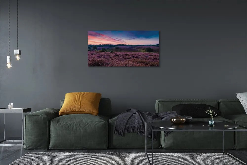 Obraz na płótnie Pole Wrzosów