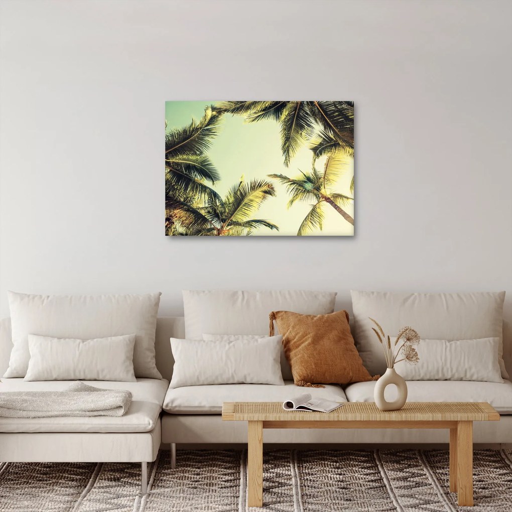 Obraz z palmami kokosowymi (70x50 cm)