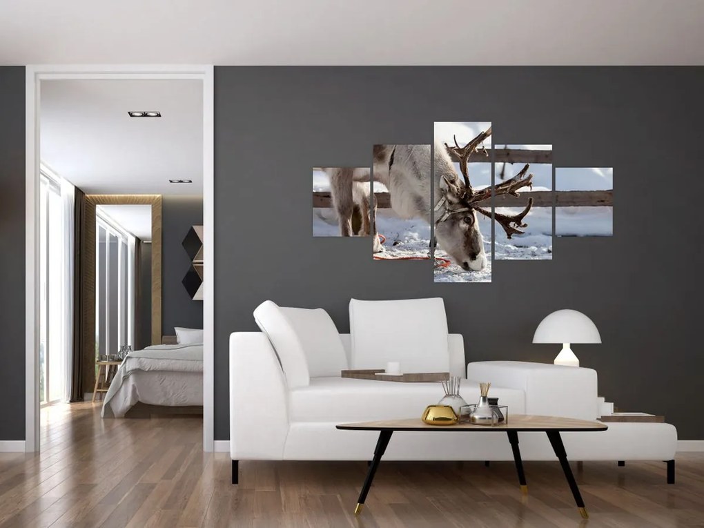 Obraz - Sat (125x70 cm)