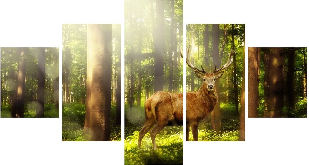 Obraz jelenia w lesie (125x70 cm)