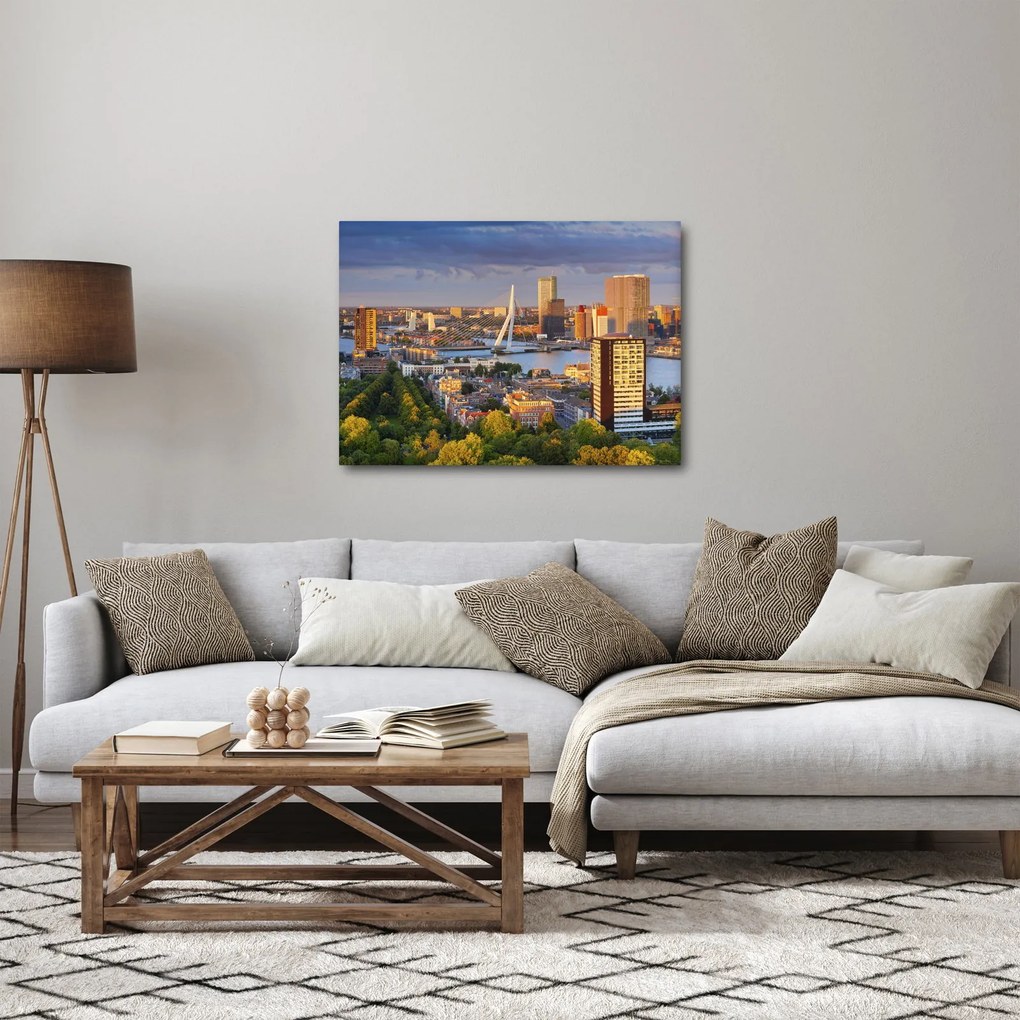 Obraz - Panorama Rotterdamu, Holandia (70x50 cm)