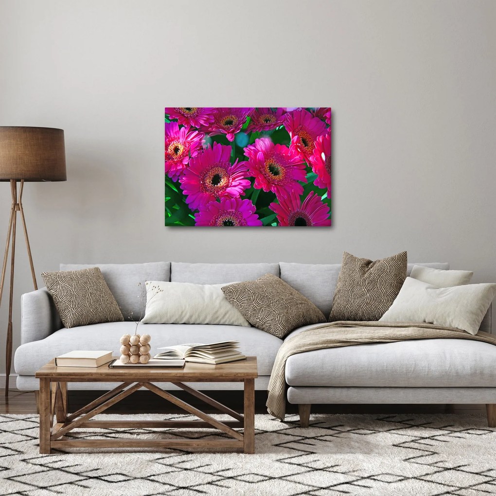 Obraz - kwiaty (70x50 cm)