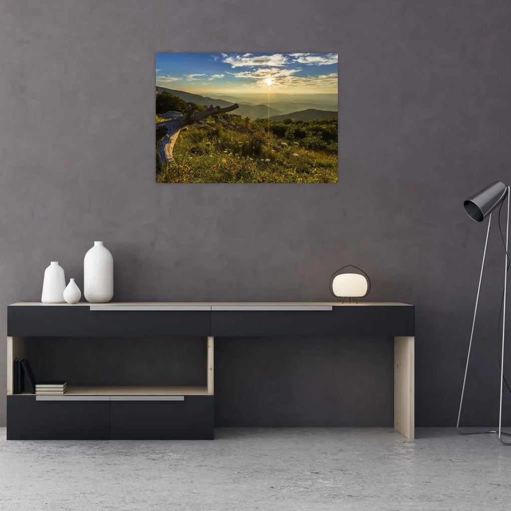 Obraz - Widok na otoczenie (70x50 cm)