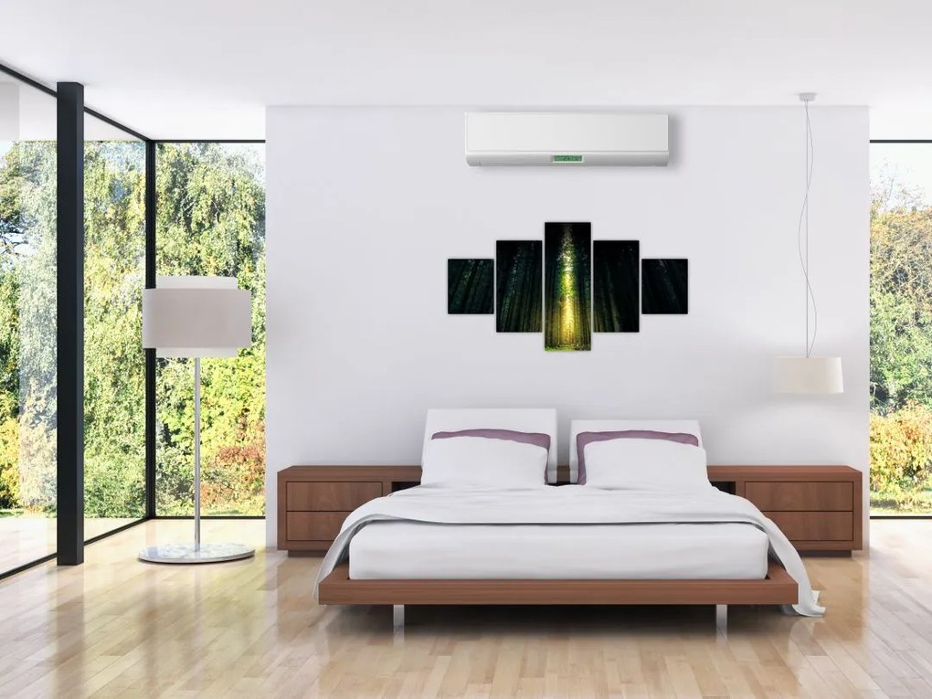 Obraz ciemnego lasu (125x70 cm)
