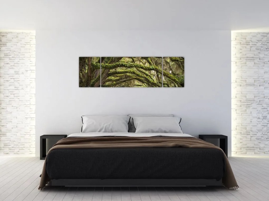 Obraz - Oaks Avenue, Charleston, Karolina Południowa, USA (170x50 cm)