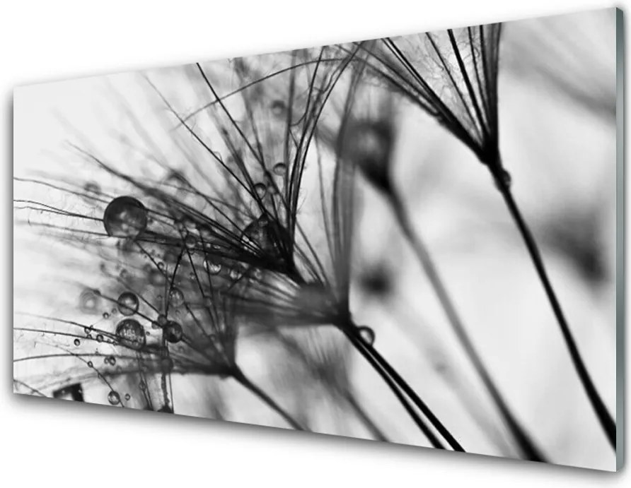 Panel Kuchenny Botaniczna Abstrakcja Graficzna