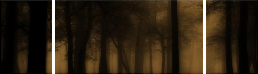 Obraz - Ciemny las (170x50 cm)