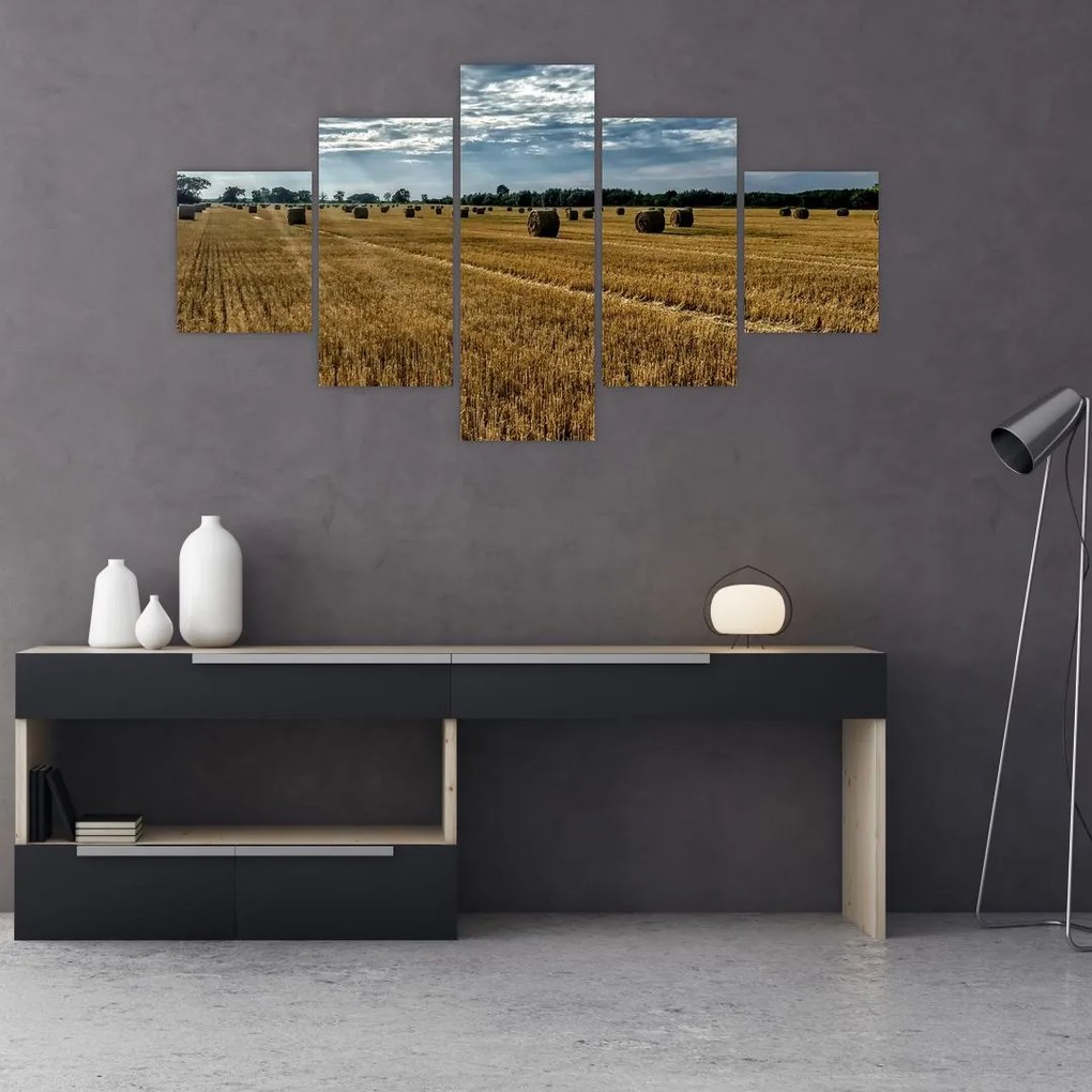 Obraz zebranego pola zboża (125x70 cm)