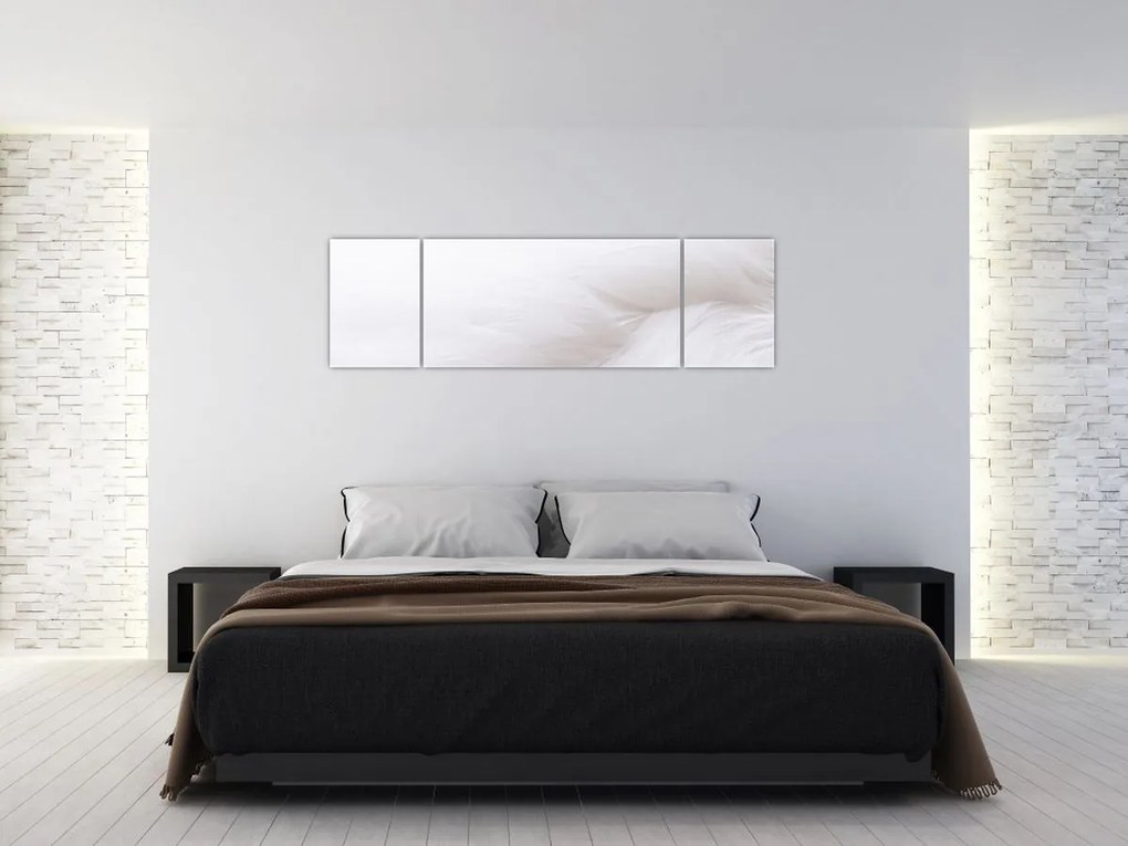 Obraz - Szczegół piórka (170x50 cm)
