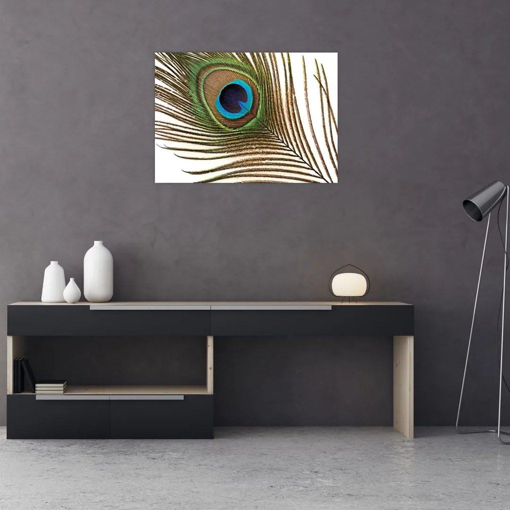 Obraz pawich piór (70x50 cm)