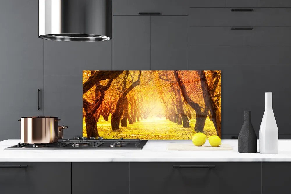 Panel Szklany Las Ścieżka Drzewa Natura