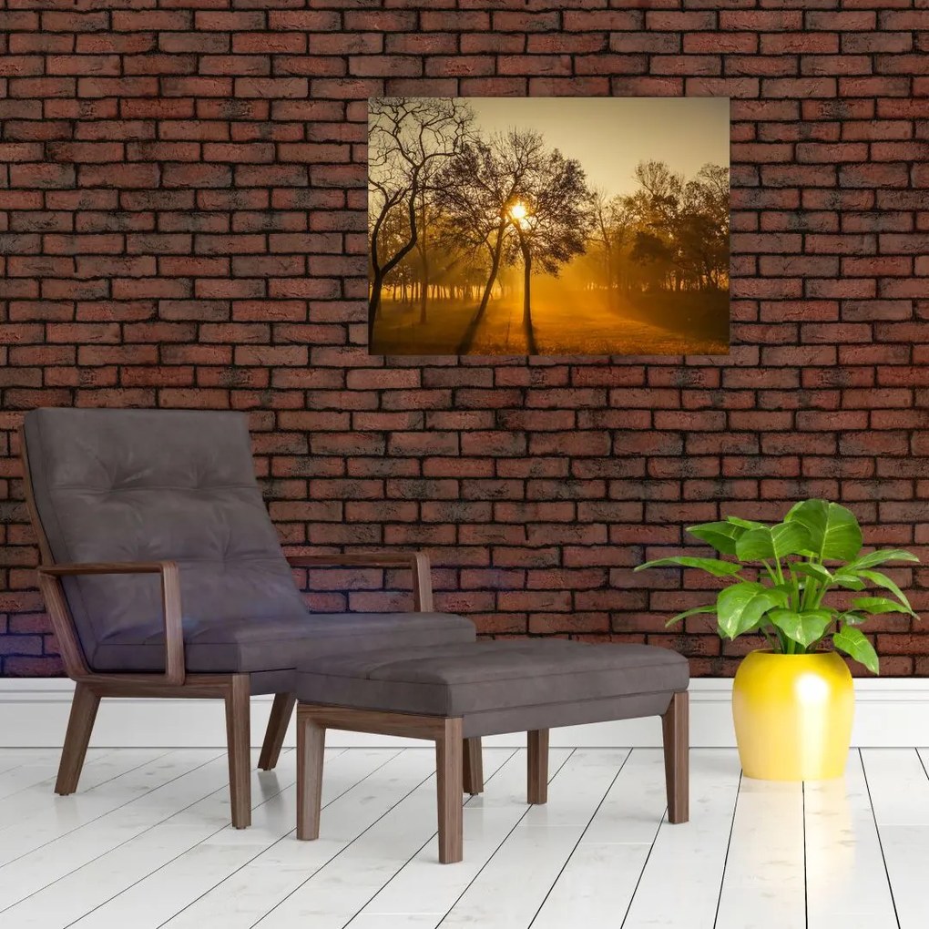 Obraz na szkle - wschód słońca (70x50 cm)