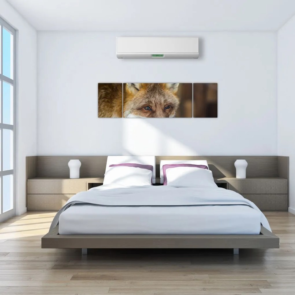 Obraz lisa (170x50 cm)