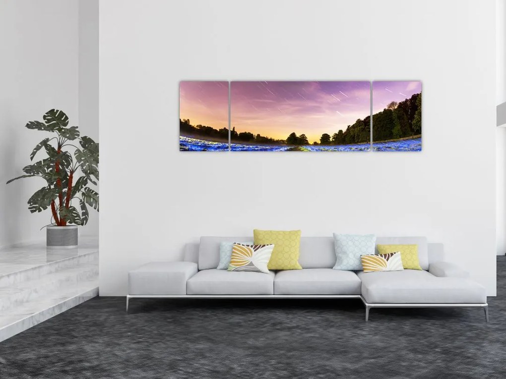 Obraz kolorowego pola (170x50 cm)
